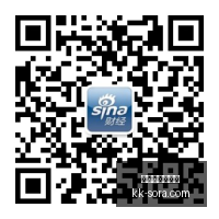 英雄联盟,总决赛夺冠,遗憾落败,买球让分盘,让分盘技巧,让球盘口解析,体育投注
